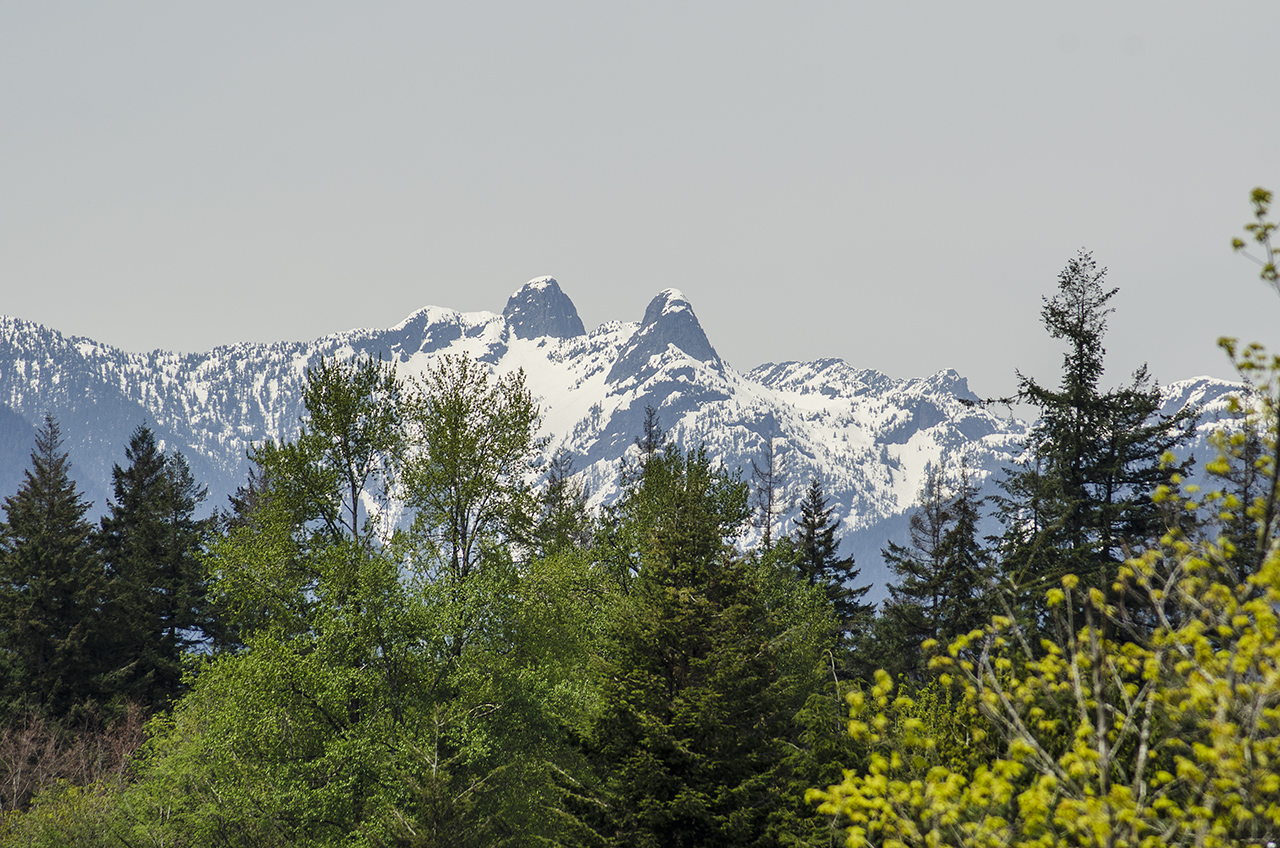 425 West Keith Road, North Vancouver, British Columbia  V7M 1M2 - Photo 11 - RP7071207112
